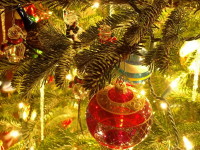 � ����� 2012 �����!